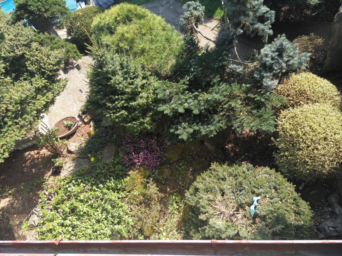 Hotel Bonsai Praga